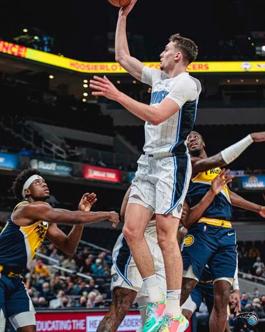 也是她团队 也是她团队