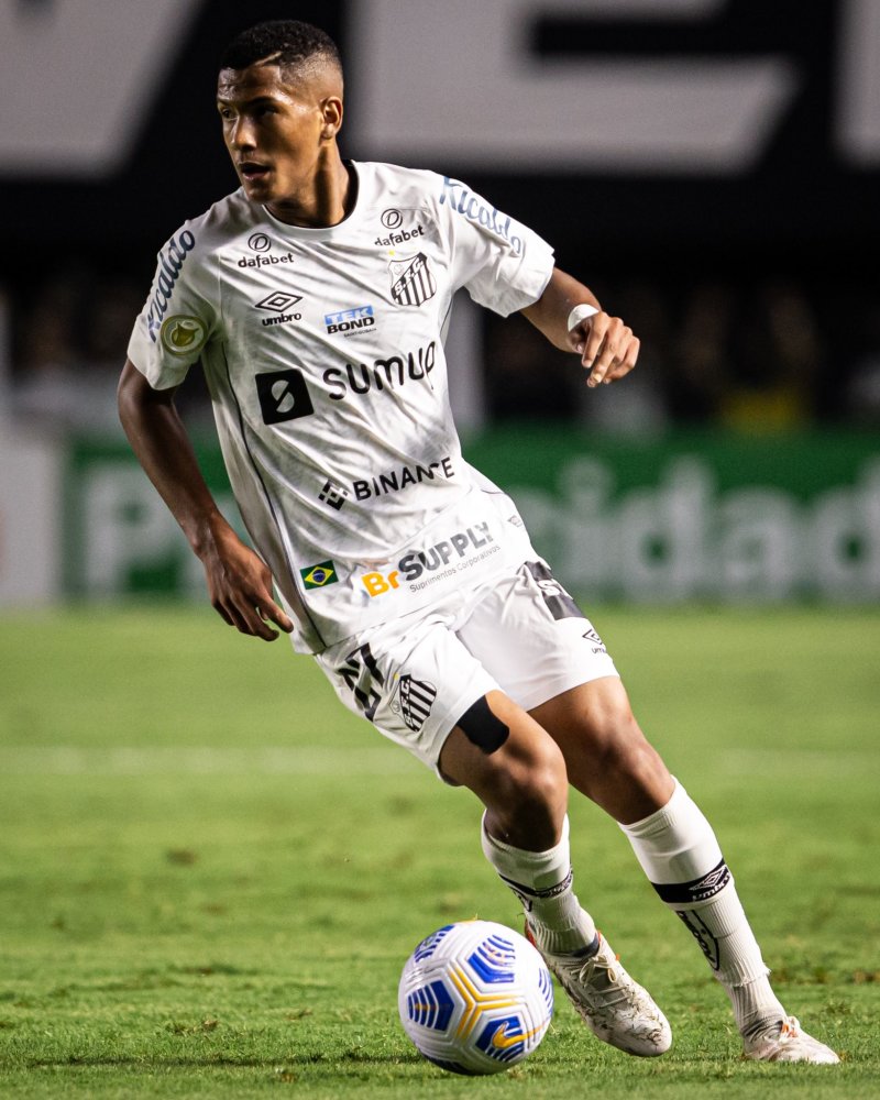 的权威性与 的权威性与