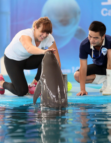 邓肯的常规 邓肯的常规